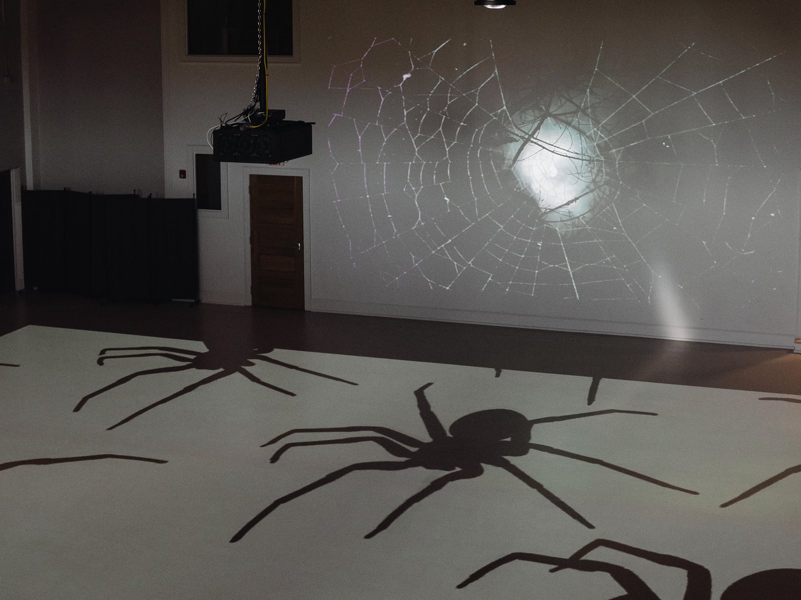 A themed environment projected across the studio wall and floor